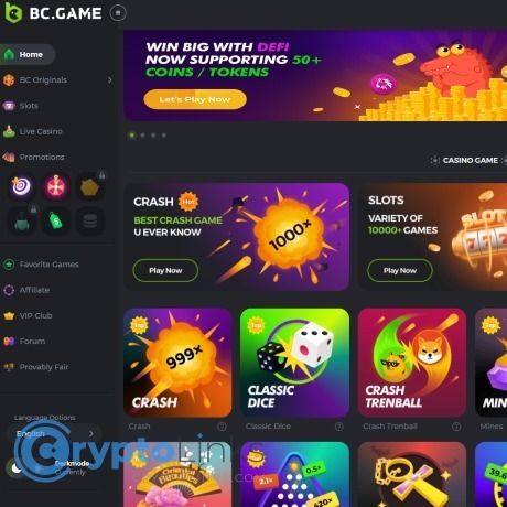 Discover the Exciting World of BC.Game Online Casino Platform -198094811