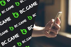 Exploring the Official BC App Your Gateway to Blockchain Accessibility Exploring the Official BC App Your Gateway to Blockchain Accessibility