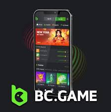 Understanding BC.Game Privacy Policy Your Guide to Data Protection